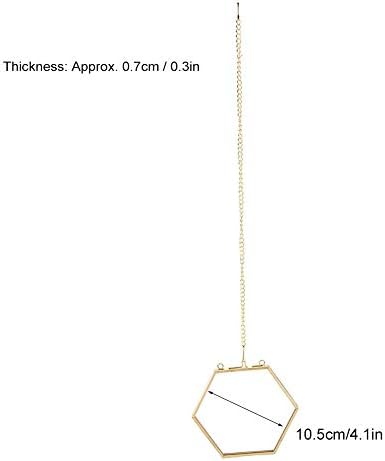 Geometric Hexagonal Glass Frame for Dried Flowers and Specimens with Wall Hanging Ring