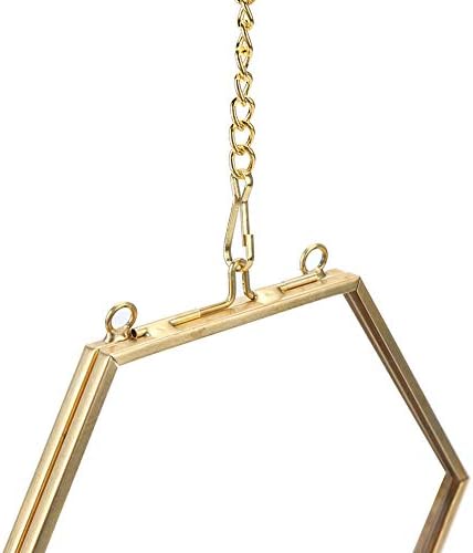 Geometric Hexagonal Glass Frame for Dried Flowers and Specimens with Wall Hanging Ring