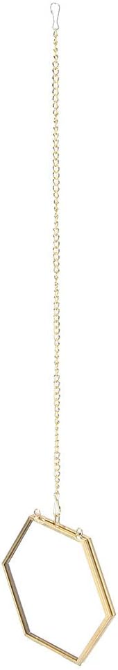 Geometric Hexagonal Glass Frame for Dried Flowers and Specimens with Wall Hanging Ring