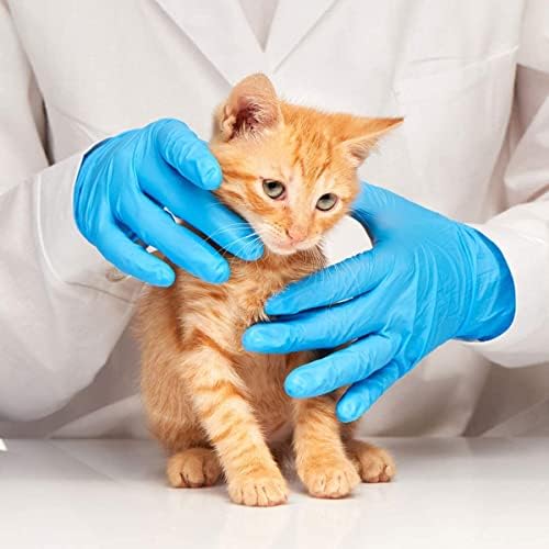 Basic Blue Nitrile Exam Gloves 1000 Pcs