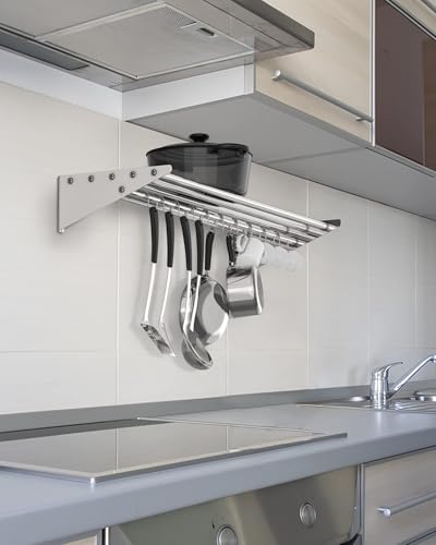 EcoExplorer Stainless Steel Wall Shelf with 10 Hooks