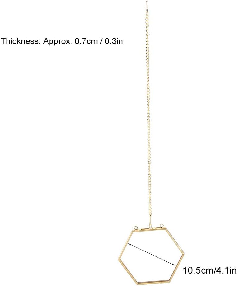 Geometric Hexagonal Glass Frame for Dried Flowers and Specimens with Wall Hanging Ring