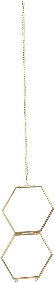 Geometric Hexagonal Glass Frame for Dried Flowers and Specimens with Wall Hanging Ring