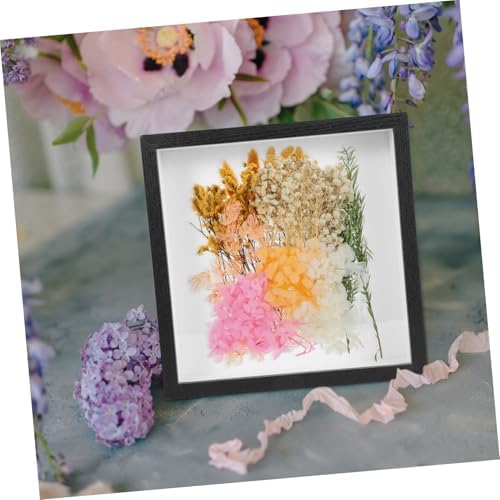 Dried Flower Display Frame for Home Decor and DIY Artwork