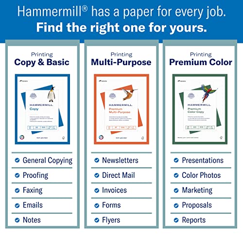 Basic Nitrile Exam Gloves 1000 Count Bundle with 20lb Printer Paper 10 Ream