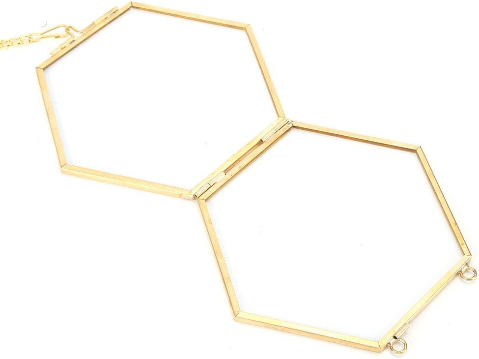 Geometric Hexagonal Glass Frame for Dried Flowers and Specimens with Wall Hanging Ring