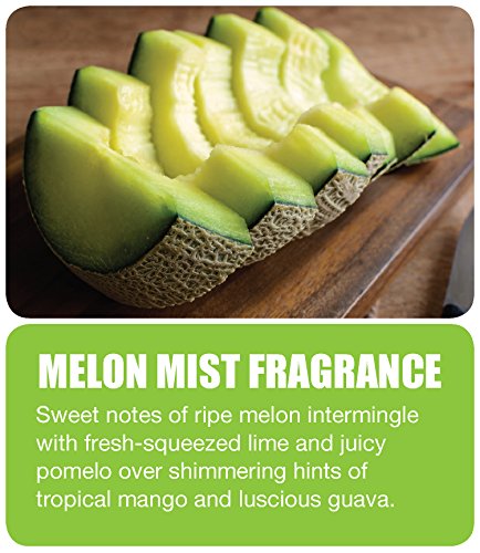 Big D 181 POD Passive Odor Dispenser Refill Melon Mist Fragrance White Pack of 24