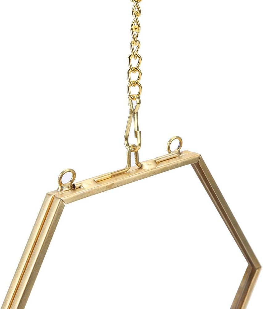 Geometric Hexagonal Glass Frame for Dried Flowers and Specimens with Wall Hanging Ring