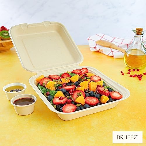 Brheez Disposable Clamshell Containers Biodegradable 8x8 1 Compartment Pack of 50