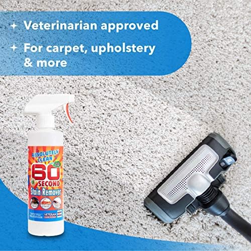 Absolutely Clean 60 Second Stain Remover 2 Pack