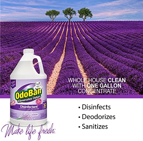 OdoBan Disinfectant Concentrate with Lavender Scent 4 Gallons