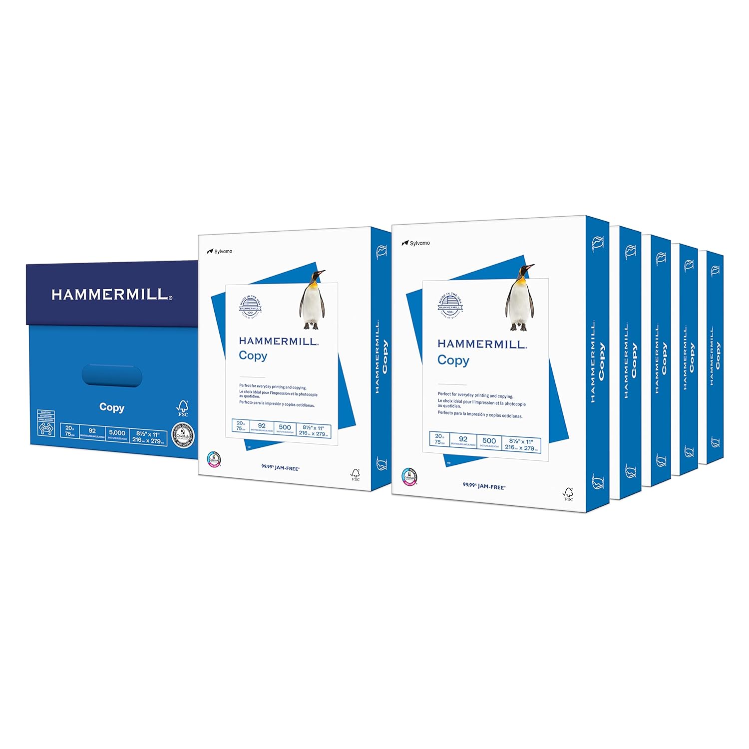 Basic Nitrile Exam Gloves 1000 Count Bundle with 20lb Printer Paper 10 Ream