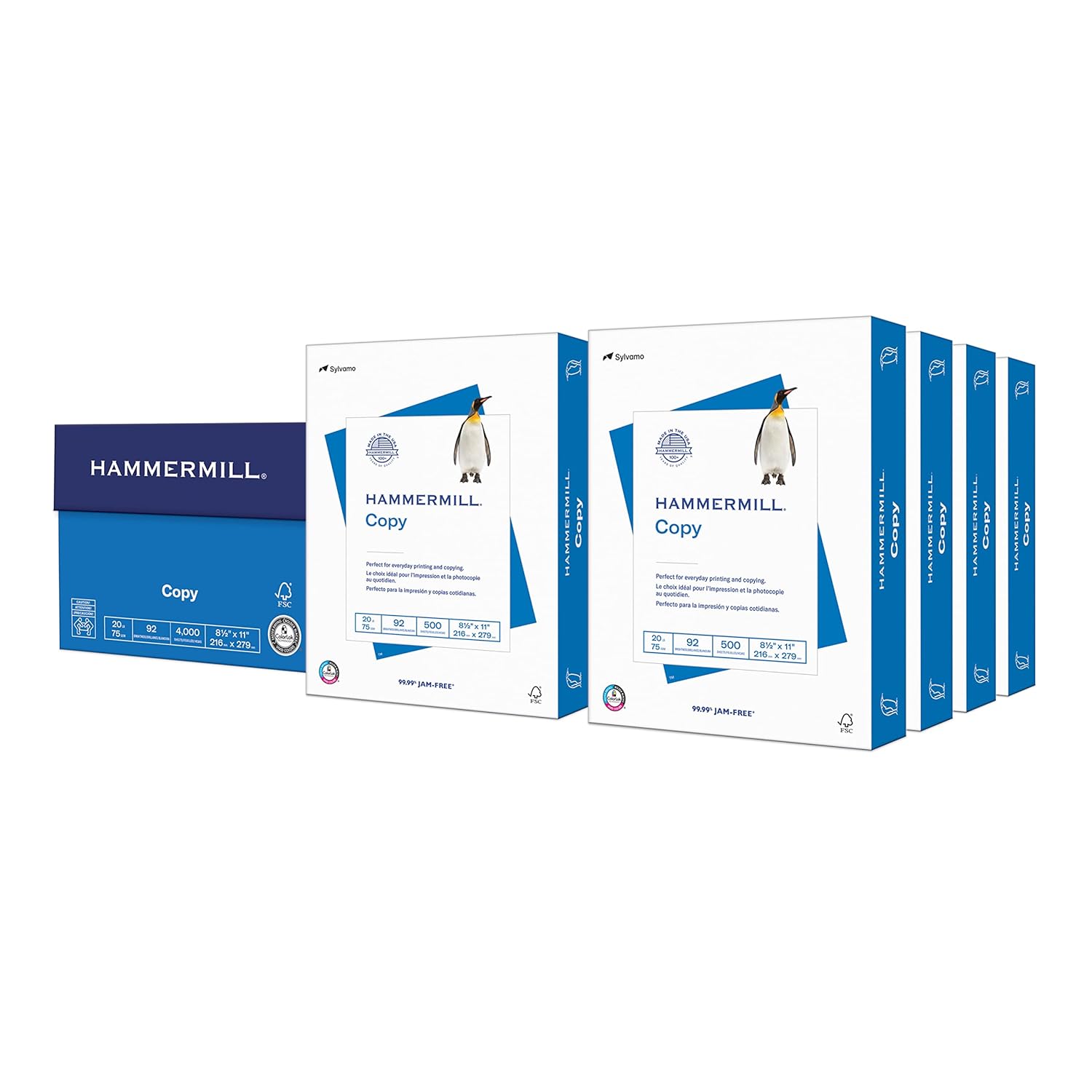 Basic Medical Vinyl Exam Gloves 1000 Count Hammermill Paper 4000 Sheets