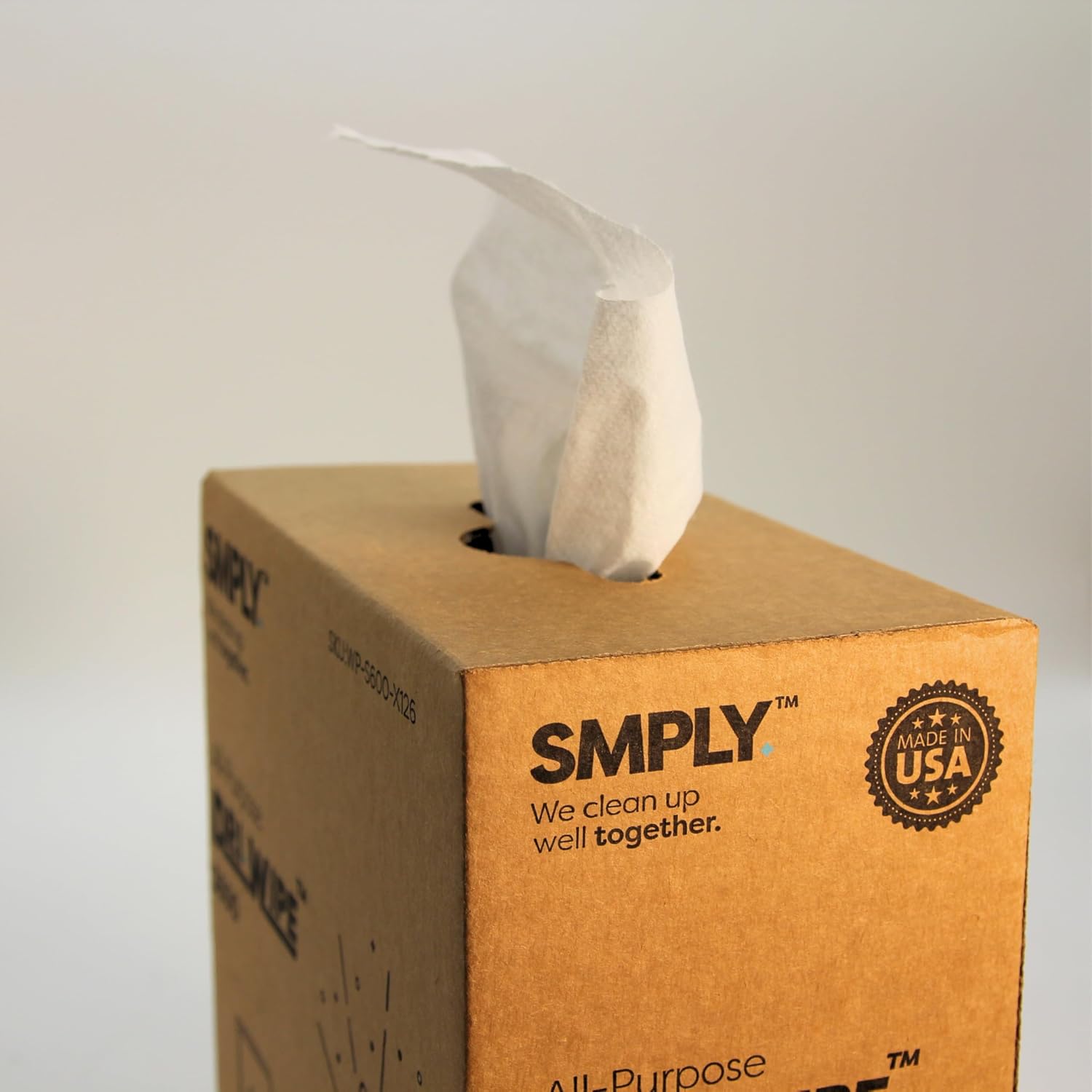 Dri-Wipe S600 by SMPLY Brands - 10 Boxes of 126 Wipes 8 x 14 Center-Pull Sheets