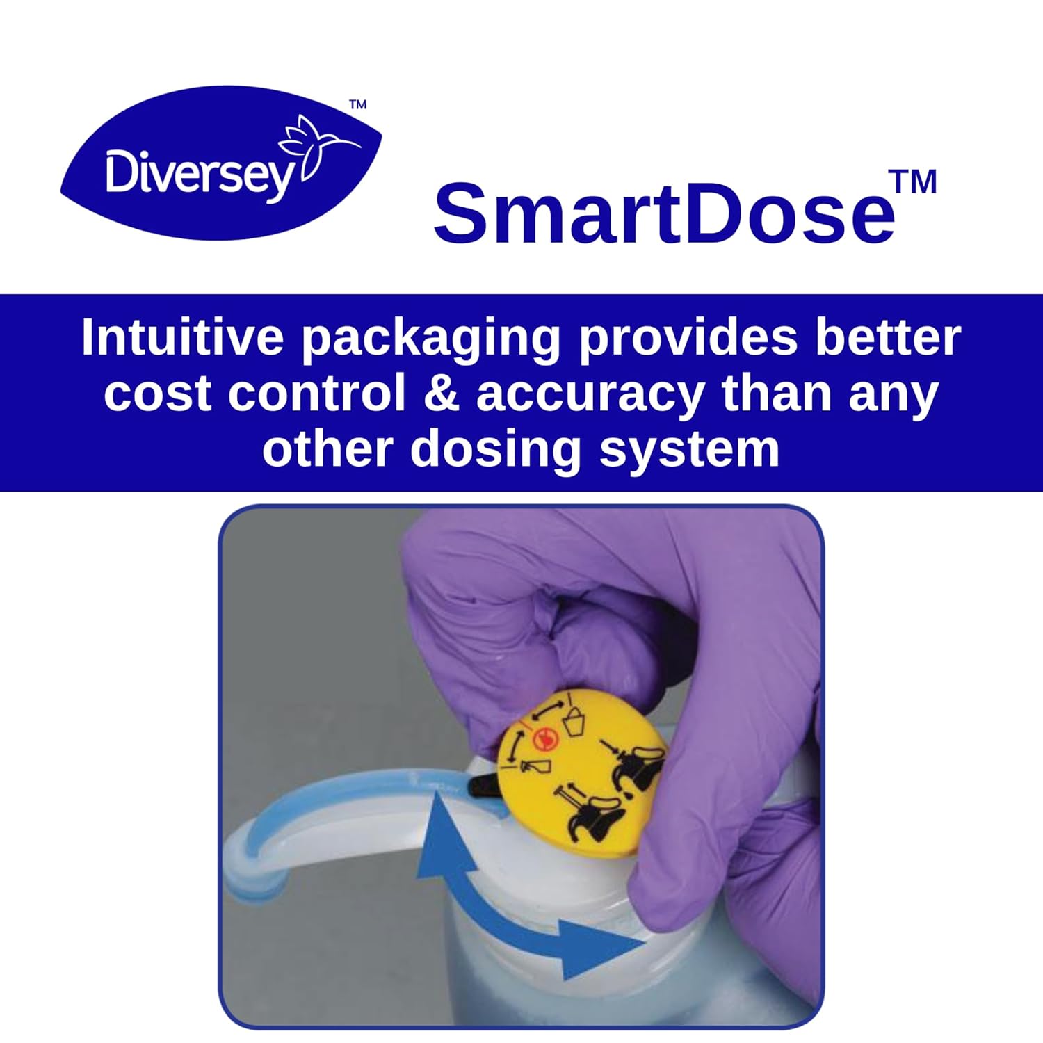 VIREX Diversey II 256 Liquid Disinfectant Cleaner and Deodorant