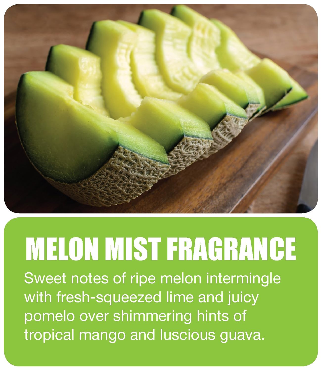 Big D 181 POD Passive Odor Dispenser Refill Melon Mist Fragrance White Pack of 24