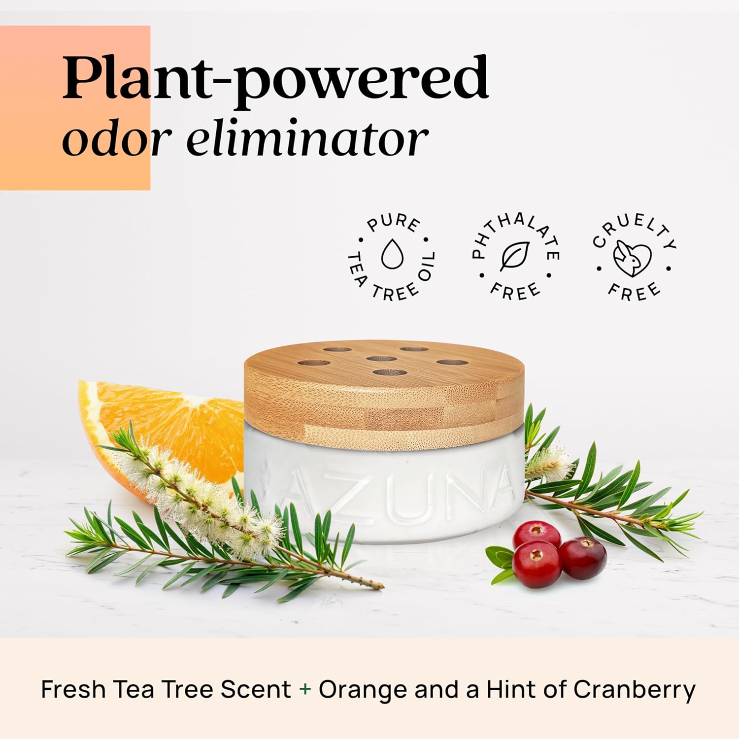 Azuna Air Freshener Odor Eliminator 2 Room Kit
