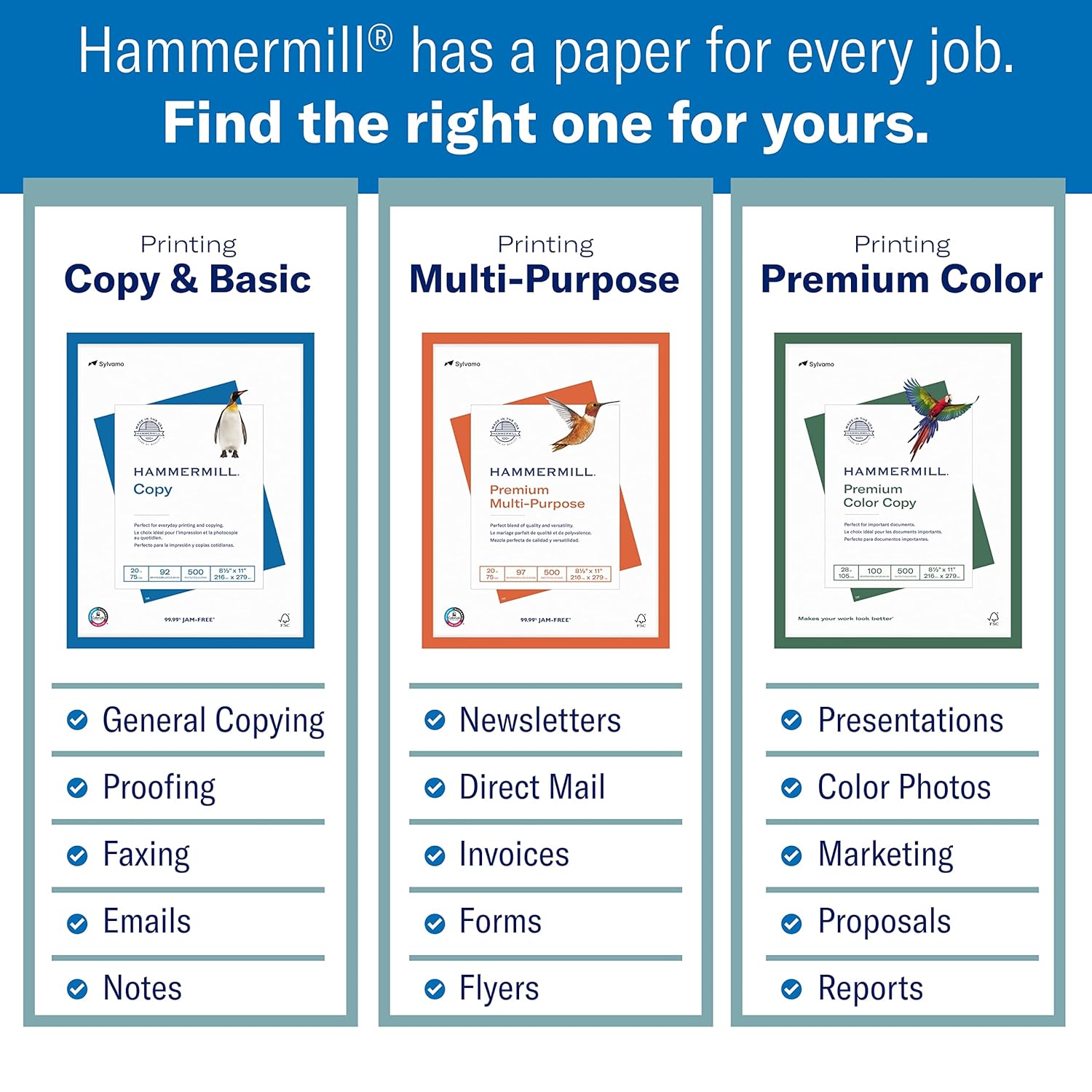Basic Nitrile Exam Gloves 1000 Count Bundle with 20lb Printer Paper 10 Ream