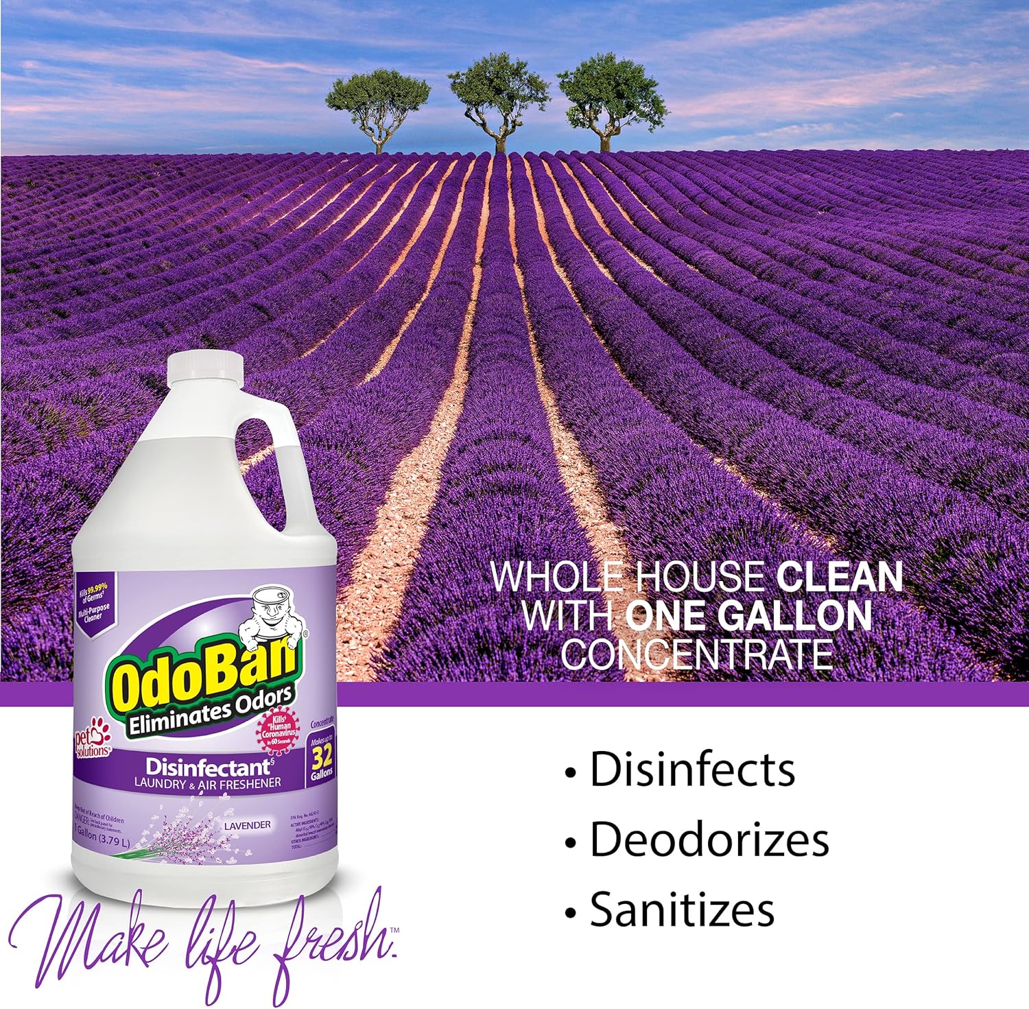OdoBan Disinfectant Concentrate with Lavender Scent 4 Gallons